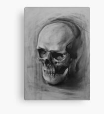 Skull Canvas Print