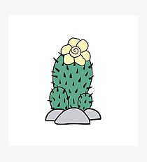 Drawn cacti Photographic Print
