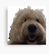 Kirby Canvas Print