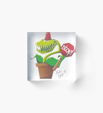 Security Flytrap Acrylic Block