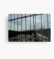 Outsider Metal Print