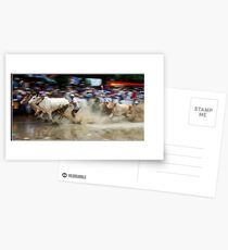 bulb race Postcards