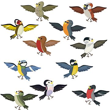 Birds Sticker for Sale by odetojoieee