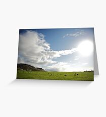Icelandic Pasture Greeting Card