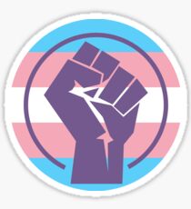 Resistance Fist "Trans Flag" Sticker