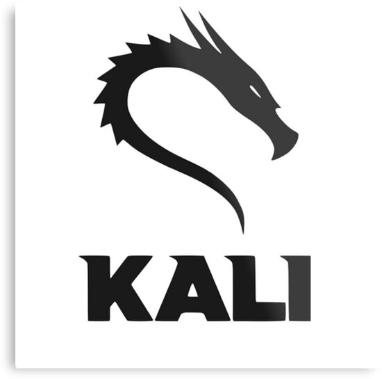 Kali linux bare metal что это