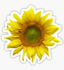 Sunny Sunflower Sticker