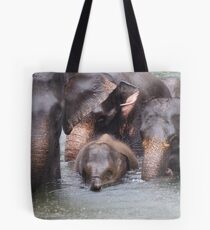 Elephant family 2 Tote Bag