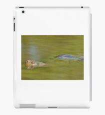 Snapping Turtle iPad Case/Skin
