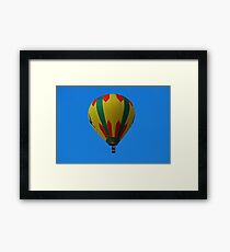 Legal Eagle Framed Print