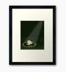 In the spotlight Framed Print