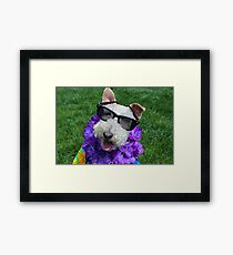 Holy Toledo...Where's Margaritaville? Framed Print