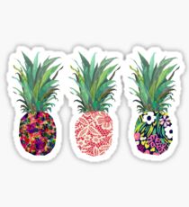 pineapple sticker pack Sticker