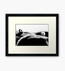 Pearls Framed Print