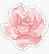 pink rose Sticker