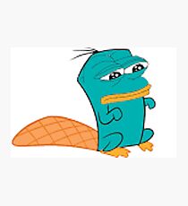 Perry Pepe Photographic Print