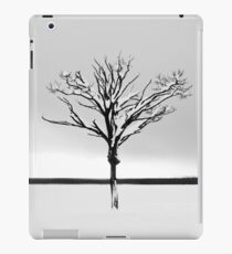 Winter iPad Case/Skin