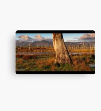 lake fyans Canvas Print