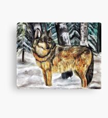 Timber Wolf Canvas Print