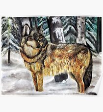 Timber Wolf Poster