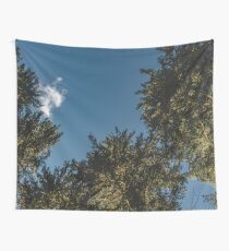 Trees in the Hoh Rainforest - Travel Sun Forest Nature Tree sun green hiking adventure sky Wall Tapestry