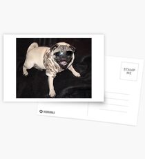 "Cool Bean" Postcards