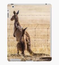 At the fence iPad Case/Skin
