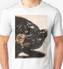 Cicada Unisex T-Shirt
