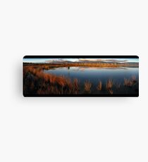 trout country Canvas Print