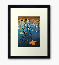Reflection Framed Print
