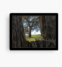 post with a view Canvas Print