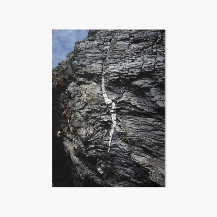 Calf Sound Art Board Print