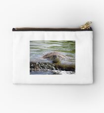 Turtle Landing Studio Pouch