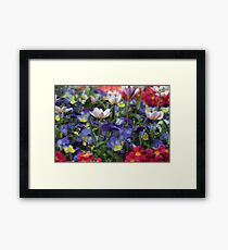 Flowers Framed Print