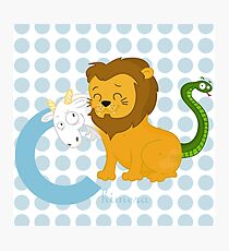 c for chimera Photographic Print