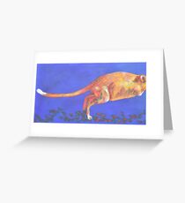Burrowing bettong - boodie Greeting Card