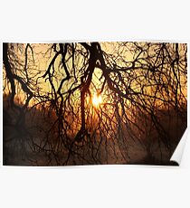 Overhang Poster