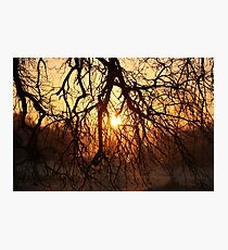 Overhang Photographic Print