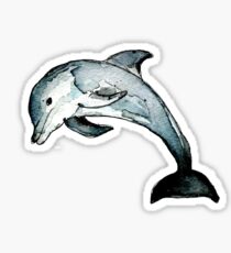 Dolphin Sticker