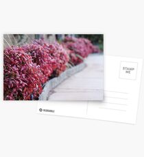 Perspective Postcards
