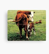YESTERDAYS PAST! Canvas Print