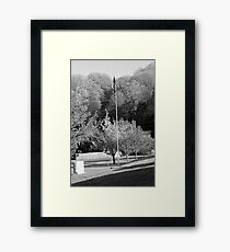 flag Framed Print