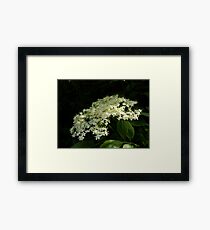 Elder Framed Print