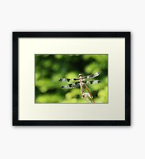 Rebirth Framed Print