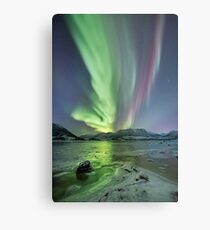 Raising Aurora Metal Print