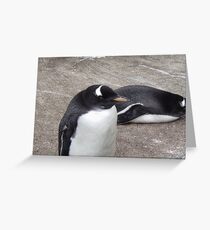 Penguin Greeting Card