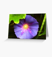 Morning Glory Greeting Card