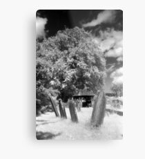 Gravestones Metal Print