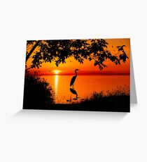 Heron at Sunset Greeting Card