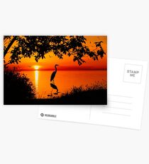 Heron at Sunset Postcards